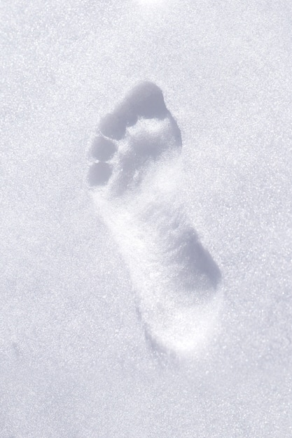 Barefoot footprint on clear white snow in winter vertical photo close up