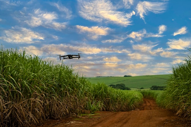 Bariri Sao Paulo Brazil 26032022 drone mavic 2 pro flying over sugarcane fields