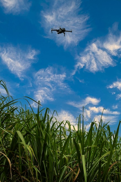 Bariri Sao Paulo Brazil 26032022 drone mavic 2 pro flying over sugarcane fields