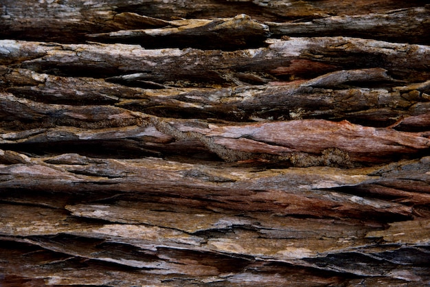 bark brown background