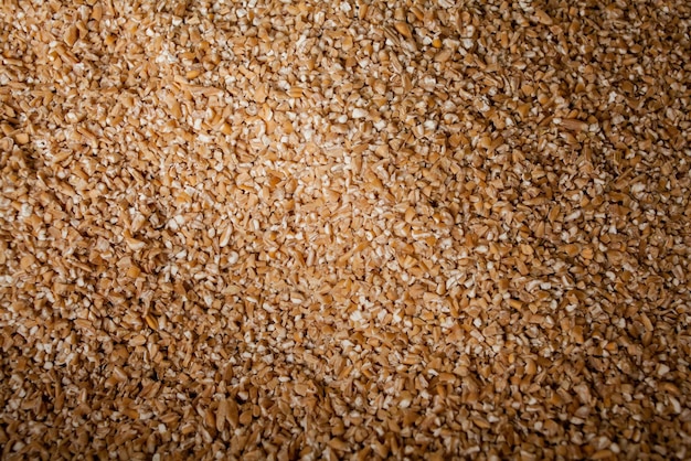 barley groats Barley grits for background and texture Barley cereal Top view