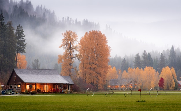 Barns in the autumn wood with fog