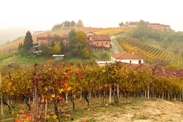 Barolo wine region Langhe Piedmont Italy