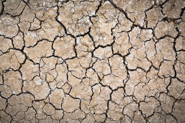 Barren ground Dry and cracked earth background