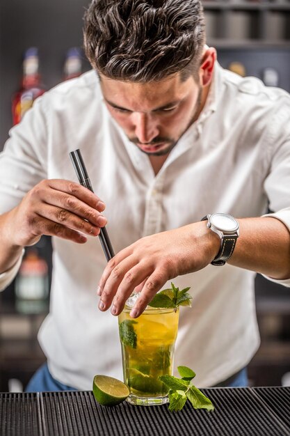 Bartender preparing mojito cocktail