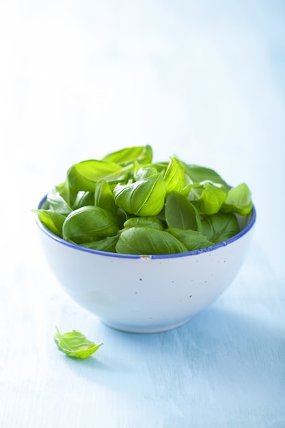 Basil leaves in bowl over blue