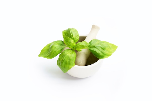 Basil leaves in mortar on white background