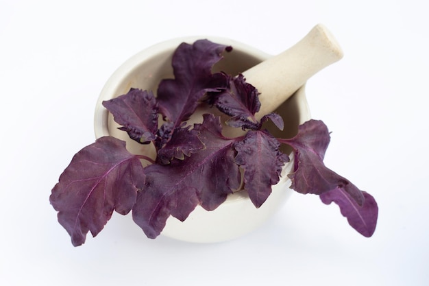 Basil leaves in mortar on white background