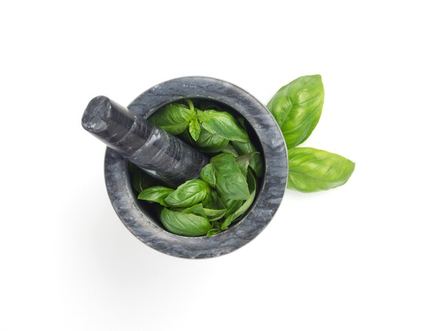 Basil in mortar isolated on white