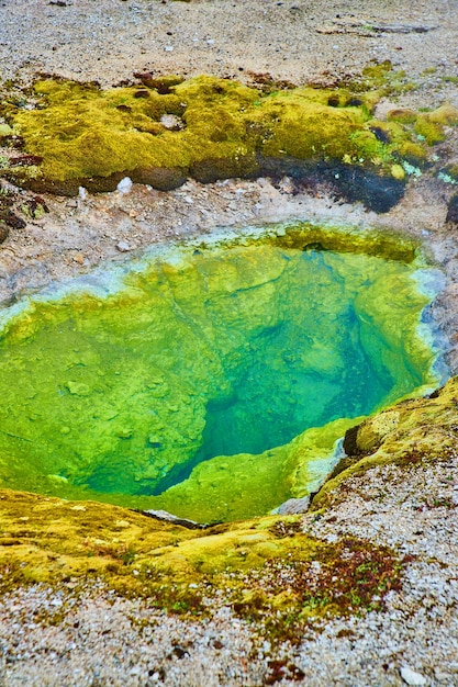 Basin with small green alkaline water geyser