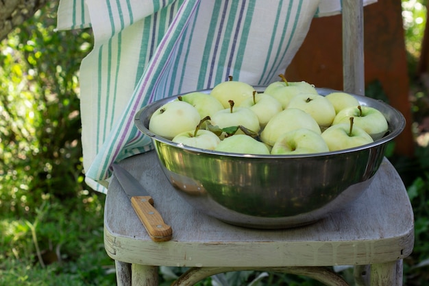 A basin with water and apples on the background of a summer garden. Selective focus.