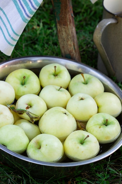 A basin with water and apples on the background of a summer garden.