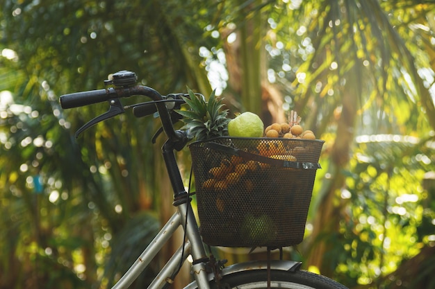 Basket on the bicycle full of different exotic fruits