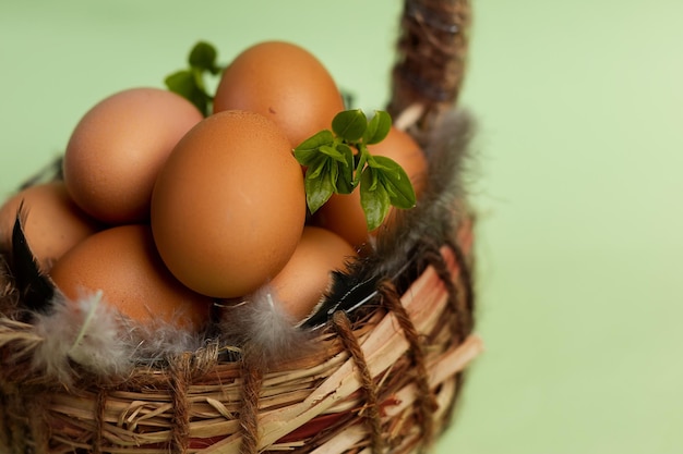 A basket of eggs with a branch of green leaves