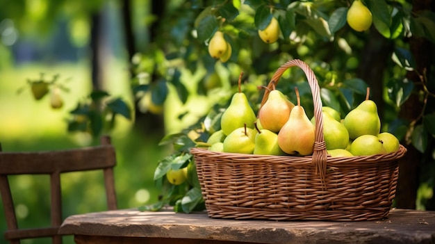 A basket of fresh ripe pears on a wooden table in the garden Created with Generative Ai technology