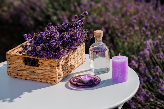 Basket with beautiful lavender in the field in Provance with Lavander water and candles Harvesting season