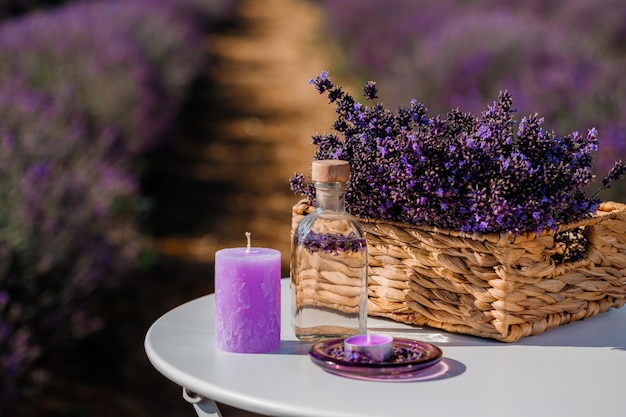 Basket with beautiful lavender in the field in Provance with Lavander water and candles Harvesting season