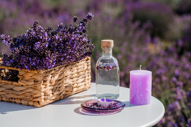 Basket with beautiful lavender in the field in Provance with Lavander water and candles Harvesting season