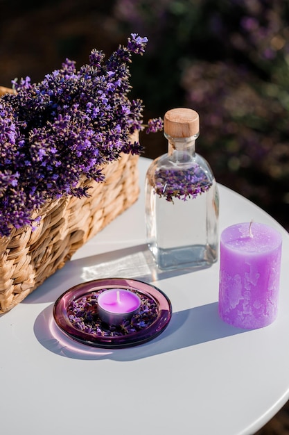 Basket with beautiful lavender in the field in Provance with Lavander water and candles Harvesting season