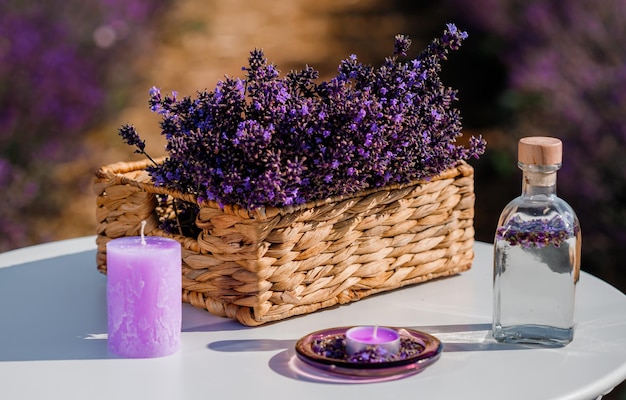 Basket with beautiful lavender in the field in Provance with Lavander water and candles Harvesting season