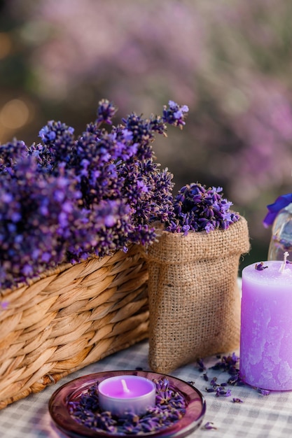 Basket with beautiful lavender in the field in Provance with Lavander water and candles Harvesting season