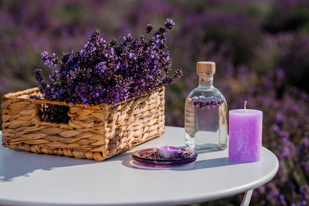 Basket with beautiful lavender in the field in Provance with Lavander water and candles Harvesting season