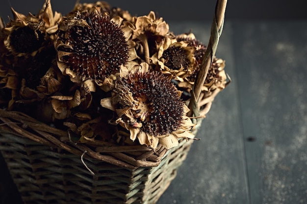 Basket with dries sunflowers close up look