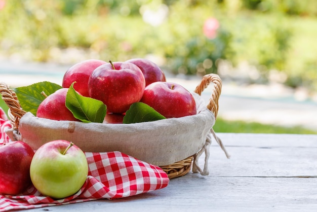 Photo basket with fresh red apples