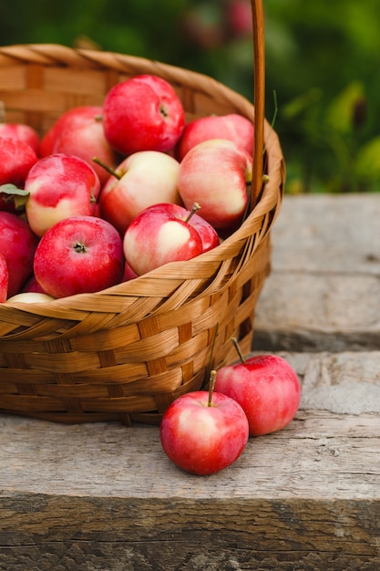 Basket with organic apples