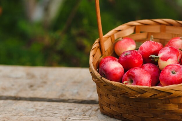 Basket with organic apples