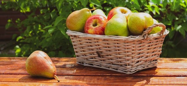 Basket with red apples and green pears on wooden table in the garden.