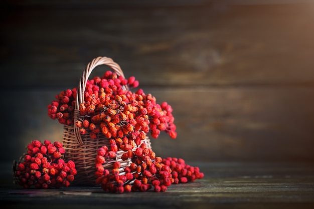 Basket with Rowan and leaves on a wooden table. Autumn still-life.