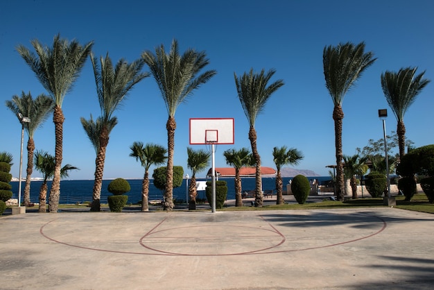 Basketball court near the palm trees by the sea