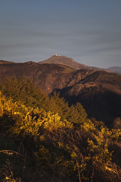 Basque mountains after a wild fire. Burned forest at February 2021.