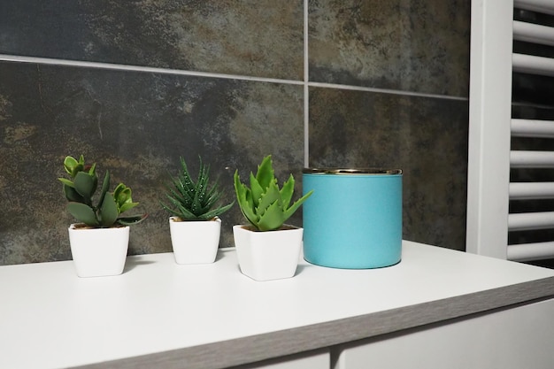 Bathroom decor elements A blue jar of cream and green plants in small white pots stand on a cabinet shelf Black wall tiles Bathroom and toilet interior Radiator on the wall