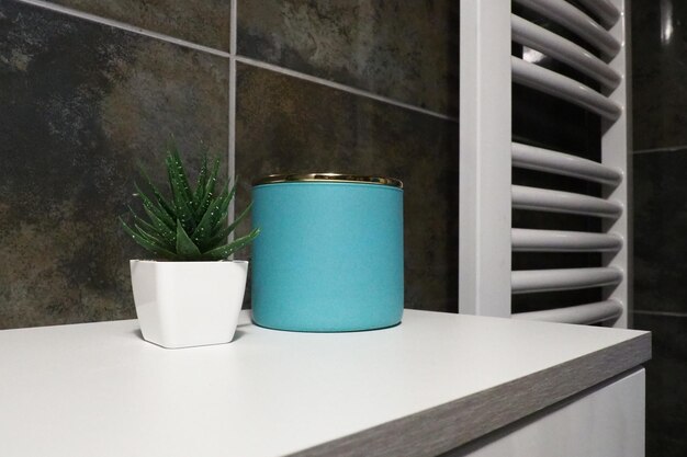 Bathroom decor elements A blue jar of cream and green plants in small white pots stand on a cabinet shelf Black wall tiles Bathroom and toilet interior Radiator on the wall