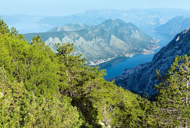 Bay of Kotor summer misty view from up with pine forest on slope (Montenegro)