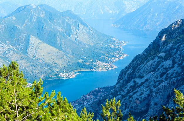 Bay of Kotor summer misty view from up with pine forest on slope (Montenegro)