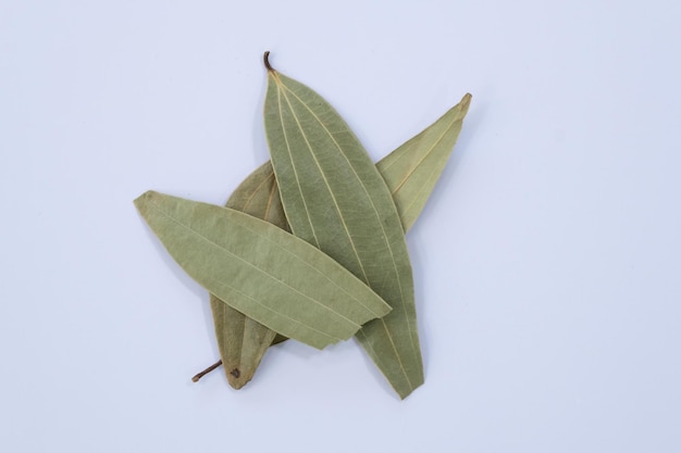 Bay Leaf