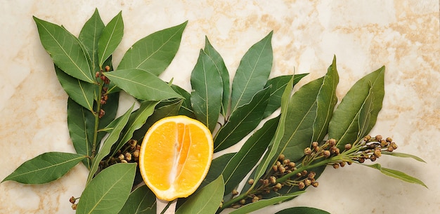 Bay leafs with seeds and yellow orange