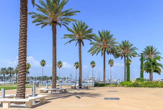 Bay with yachts in st petersburg florida usa