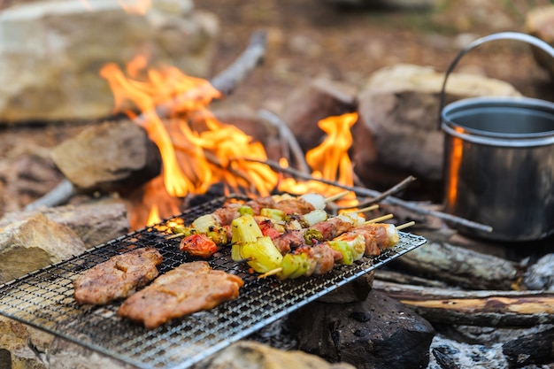 BBQ / Steak Meat Roast on a natural fire Camping atmosphere. 