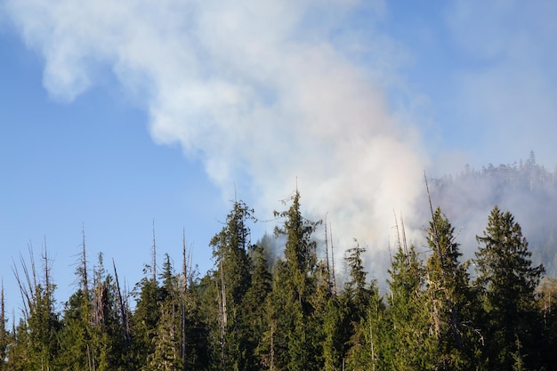 BC Wild Fire during a hot sunny summer day