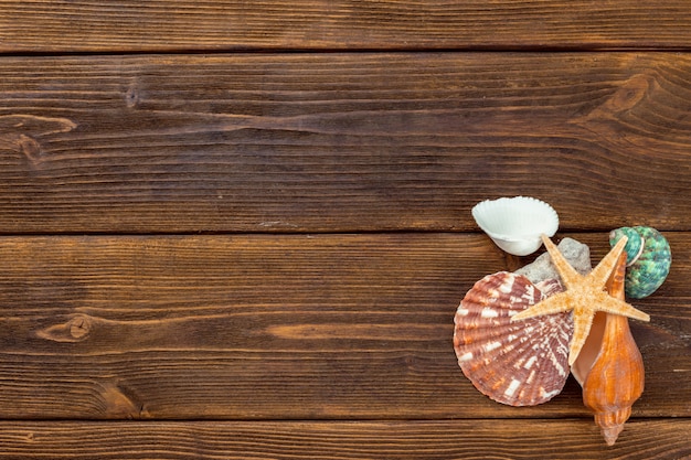 Beach accessories on wooden board