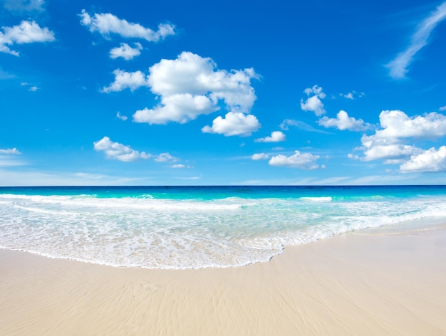 Beach and beautiful tropical sea