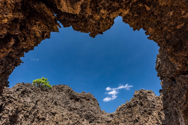 Beach cave in a rock formation blue sky green plant cloud view through the cave hole