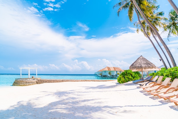 beach chair with tropical Maldives island  beach and sea