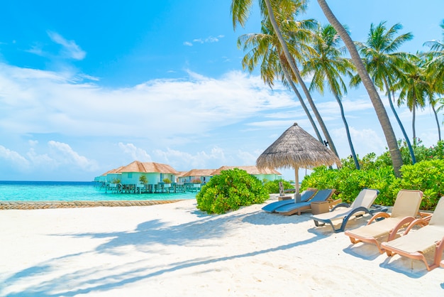 beach chair with tropical Maldives island  beach and sea