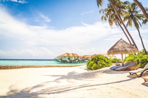 beach chair with tropical Maldives island  beach and sea