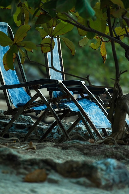 Beach chairs on seaside for service tourists